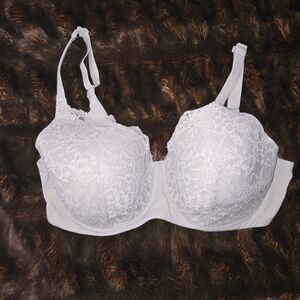 Skims Lace Bra 38d Neutral Shade DISCONTINUED STYLE